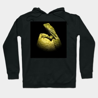 Frilled lizard Hoodie